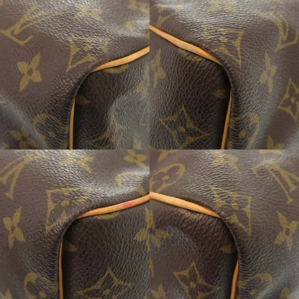 LOUIS VUITTON Brown Monogram Speedy 25 Bag